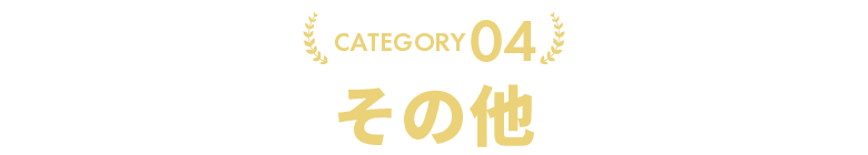 その他